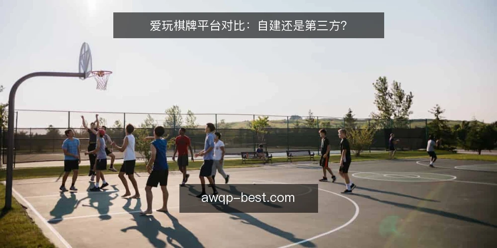 爱玩棋牌平台对比：自建还是第三方？ — 为什么现在要审计选型路径 配图