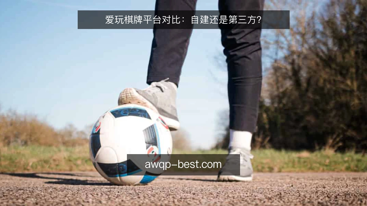 爱玩棋牌平台对比：自建还是第三方？