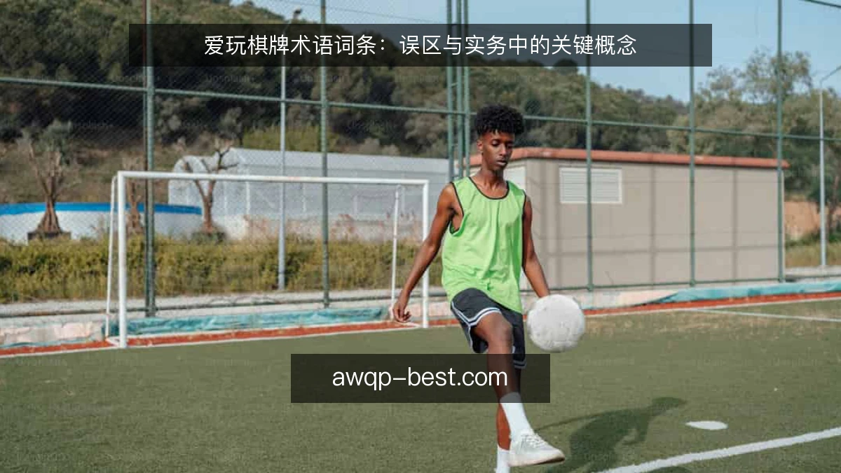 爱玩棋牌术语词条：误区与实务中的关键概念